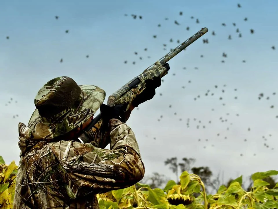 6 Tips for Dove Shooting